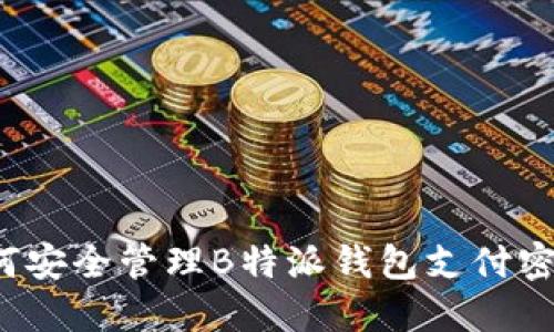 如何安全管理B特派钱包支付密码？