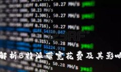 全面解析B特派带宽花费及