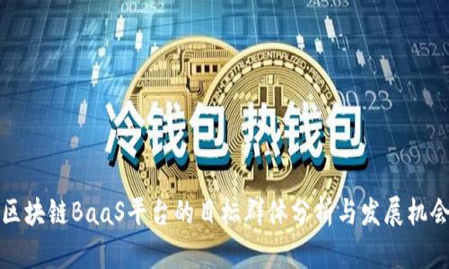区块链BaaS平台的目标群体分析与发展机会