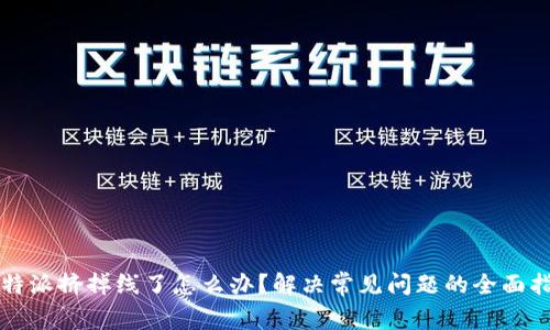 比特派挤掉线了怎么办？解决常见问题的全面指南