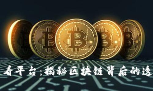 区块链数据查看平台：揭秘区块链背后的透明性与安全性