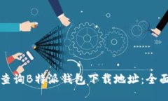 如何查询B特派钱包下载地