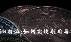 深入解析B特派：如何高效
