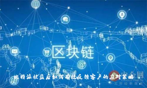 比特派被盗后如何有效反馈客户的应对策略