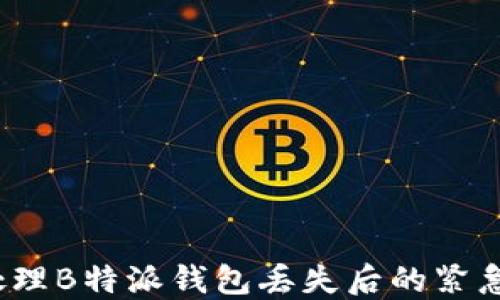 
如何处理B特派钱包丢失后的紧急情况？