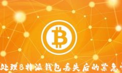 如何处理B特派钱包丢失后
