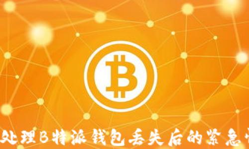 
如何处理B特派钱包丢失后的紧急情况？