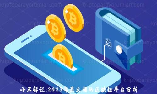 
小丑解说：2023年最火爆的区块链平台分析