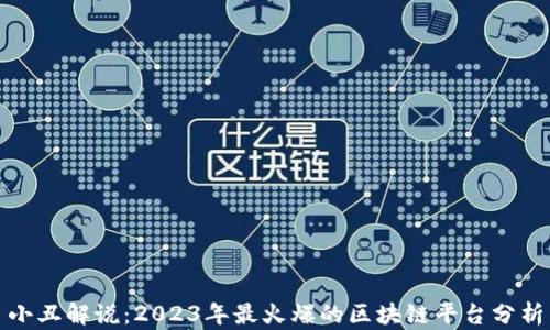 
小丑解说：2023年最火爆的区块链平台分析