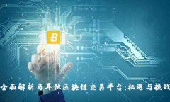 全面解析马耳他区块链交