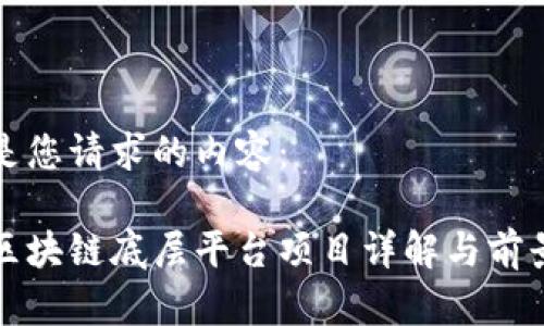 以下是您请求的内容：

太原区块链底层平台项目详解与前景展望