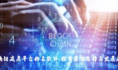 区块链底层平台排名软件