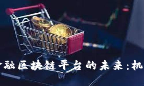 局跨境金融区块链平台的未来：机遇与挑战