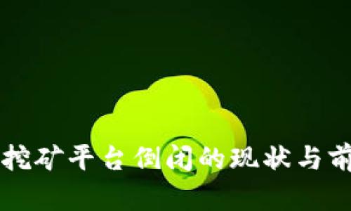 区块链挖矿平台倒闭的现状与前景分析