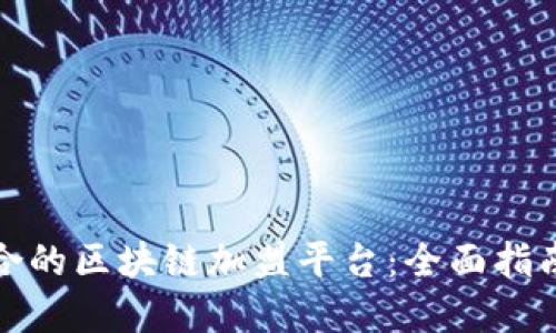 如何选择适合的区块链加盟平台：全面指南与实战技巧