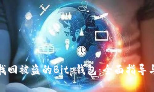 如何找回被盗的Bitp钱包：全面指导与建议