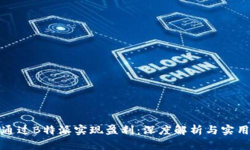 如何通过B特派实现盈利：深度解析与实用攻略