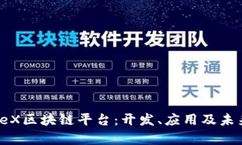深入解析TeX区块链平台：开发、应用及未来发展趋势