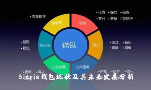 Bitpie钱包现状及其未来发展分析
