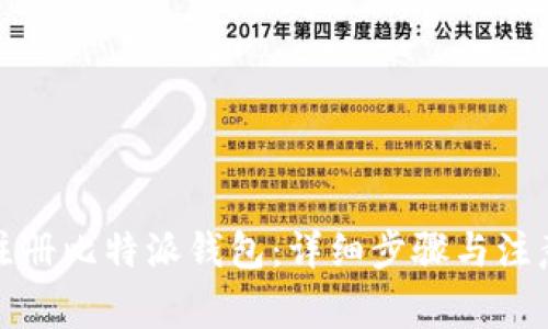 如何注册比特派钱包：详细步骤与注意事项