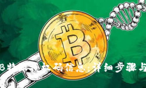如何查询B特派授权码信息：详细步骤与注意事项