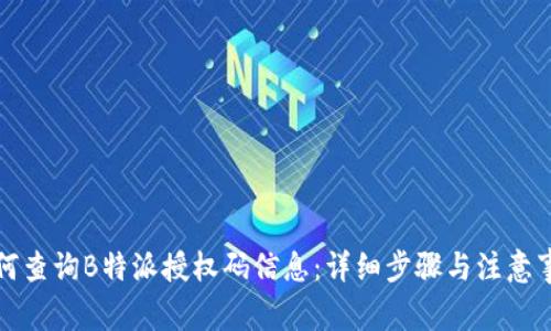 如何查询B特派授权码信息：详细步骤与注意事项