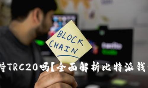比特派USDT支持TRC20吗？全面解析比特派钱包的功能与特性