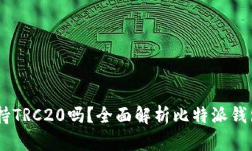 比特派USDT支持TRC20吗？全面解析比特派钱包的功能与特性