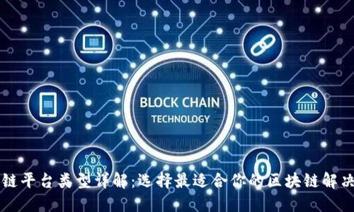 区块链平台类型详解：选择最适合你的区块链解决方案