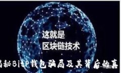   揭秘BitP钱包骗局及其背
