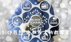 全方位解析Bitp钱包：电脑