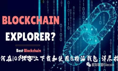 如何在iOS设备上下载和使用B特派钱包：详尽指南