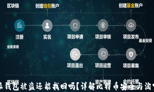 
比特派钱包被盗还能找回吗？详解比特币安全与淘宝技巧