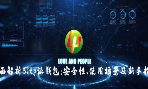 全面解析Bitp派钱包：安全性、使用场景及新手指南