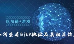 如何查看BitP地址及其相关