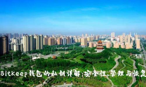 BitKeep钱包的私钥详解：安全性、管理与恢复