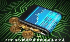 BITP：深入探讨分布式技术