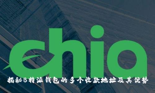 揭秘B特派钱包的多个收款地址及其优势