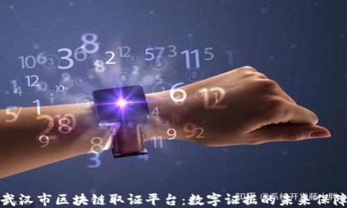 
武汉市区块链取证平台：数字证据的未来保障