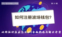 比特派被盗后怎么办？全
