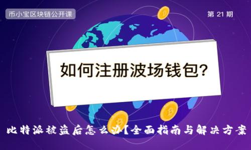 比特派被盗后怎么办？全面指南与解决方案