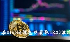 如何在Bitpie钱包中获取T