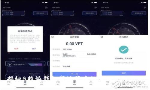 揭秘B特派钱包崩溃背后的真相及其影响