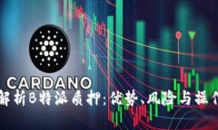 全面解析B特派质押：优势