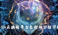 BSN区块链平台支持的公链