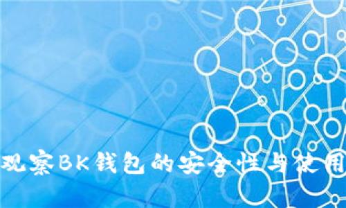 如何观察BK钱包的安全性与使用体验