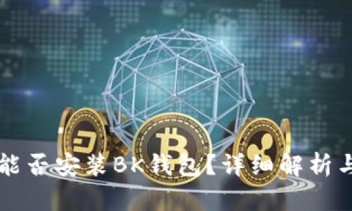 苹果手机能否安装BK钱包？详细解析与使用指南