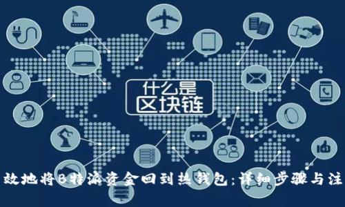 如何高效地将B特派资金回到热钱包：详细步骤与注意事项