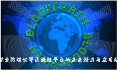 : 探索陀螺世界区块链平台