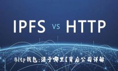Bitp钱包：源于哪里？背后